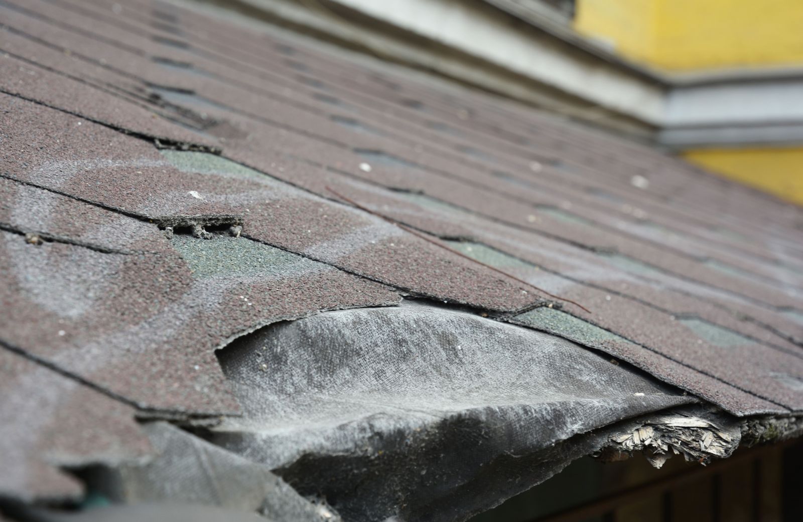 DeBakey Roofing Images
